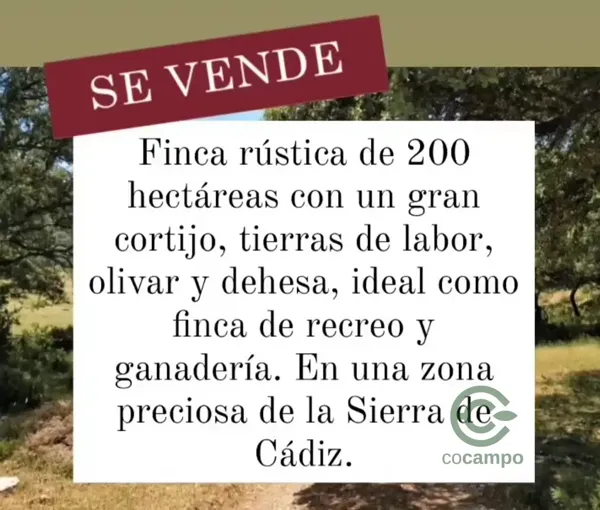 Finca rústica de 200 ha en venta en Cádiz