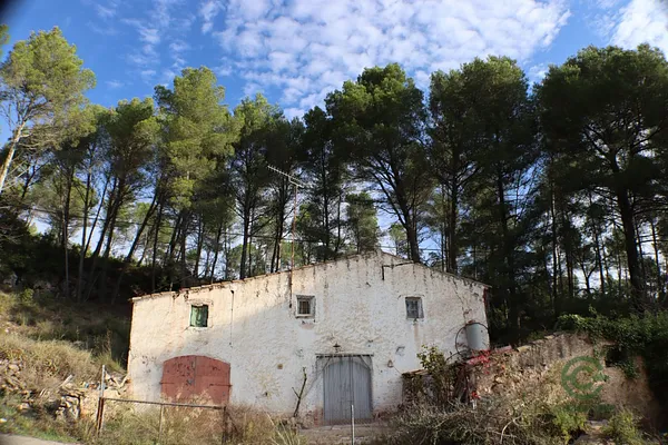 Finca rústica de 2,6 ha en venta en El montmell, Tarragona