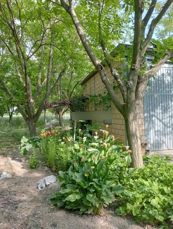 Finca rústica de 0,7 ha en venta en Arrubal, La rioja