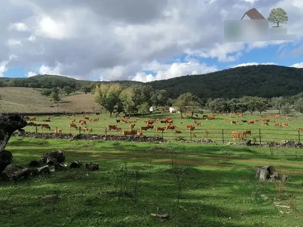 Finca rústica de 822 ha en venta en Cáceres