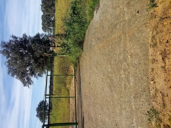 Finca rústica de 6 ha en venta en Toledo