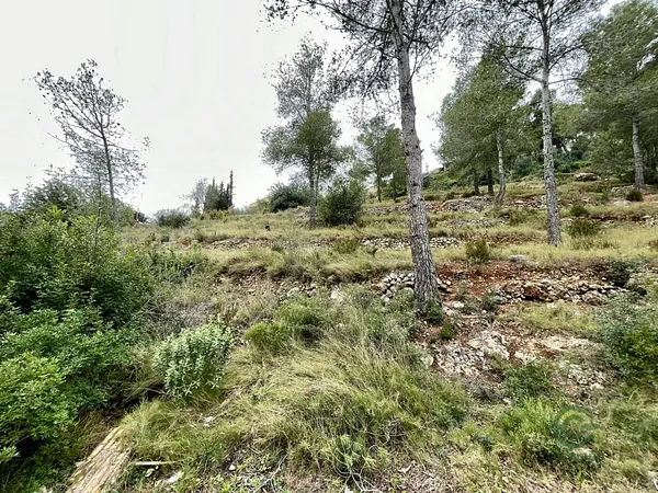 Terreno urbano de 0,1064 ha en venta en La bisbal del penedes, Tarragona