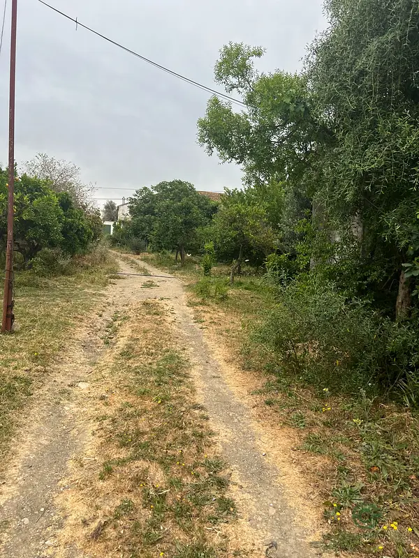 Finca rústica de 1 ha en venta en Cádiz