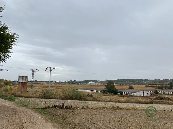 Finca rústica de 4 ha en venta en Torrejón de velasco, Madrid