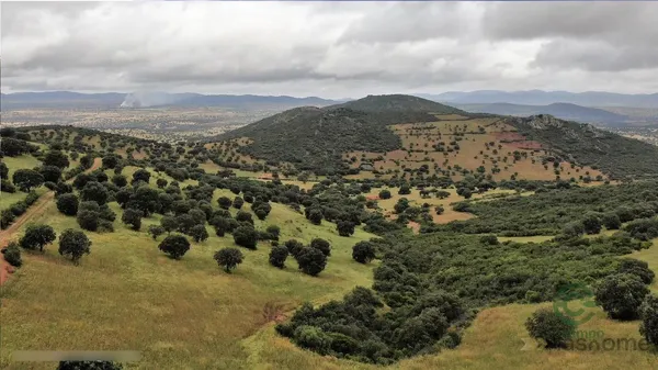 Finca rústica de 845 ha en venta en Cáceres, Cáceres