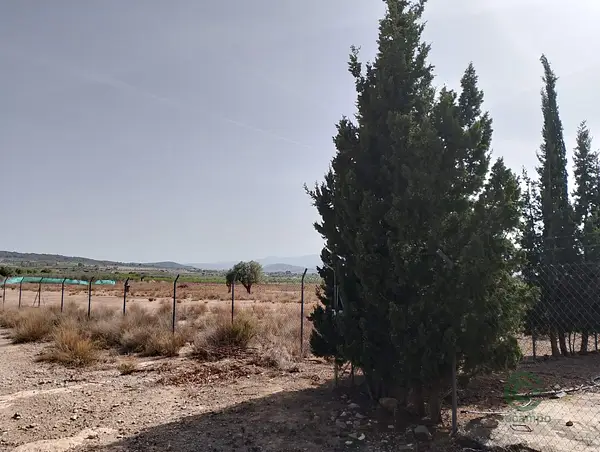 Finca rústica de 6 ha en venta en Valencia