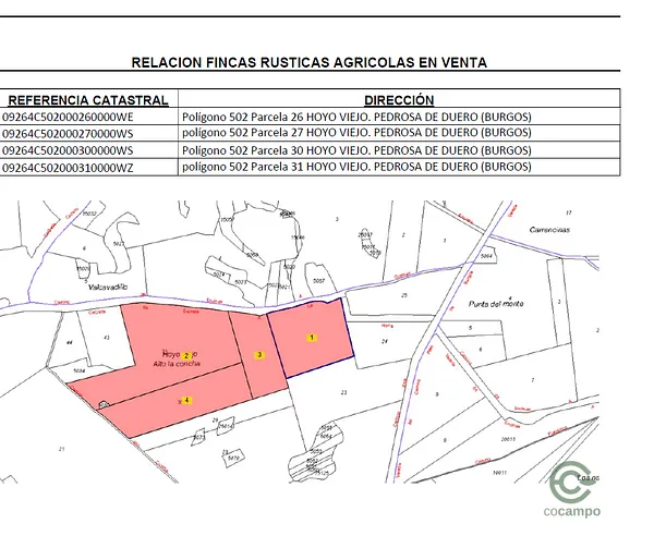 Finca agrícola de 16 ha en venta en Burgos