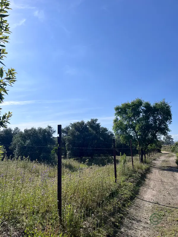 Finca rústica de 4,5 ha en venta en Córdoba