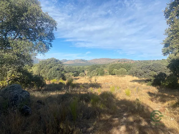 Finca rústica de 4,6 ha en venta en Madrid