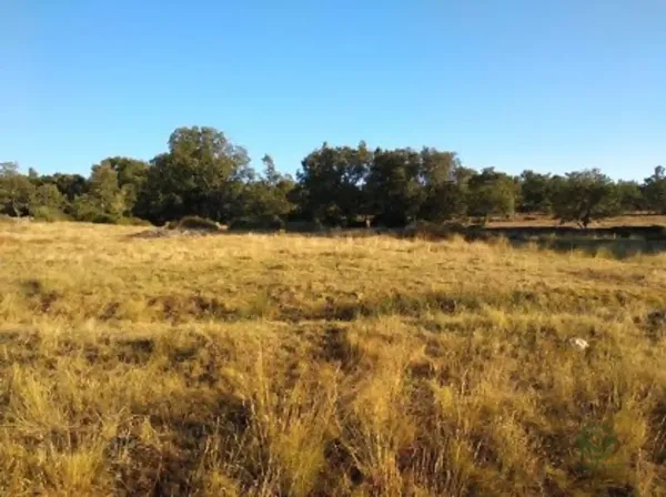 Finca rústica de 47 ha en venta en Salamanca