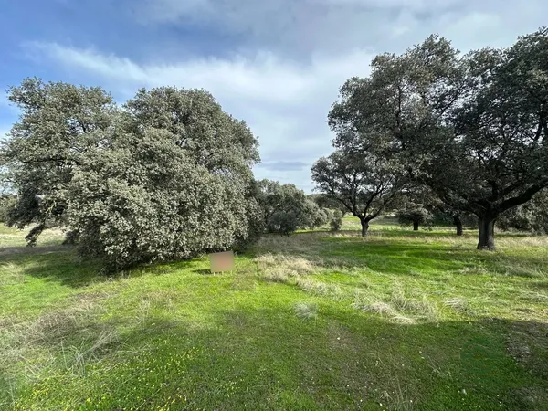 Finca rústica de 1,46 ha en venta en Toledo