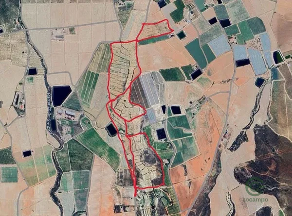 Finca agrícola de 11,8 ha en venta en Lorca, Murcia