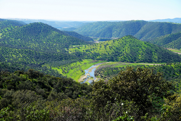Finca rústica de 1154 ha en venta en Jaén