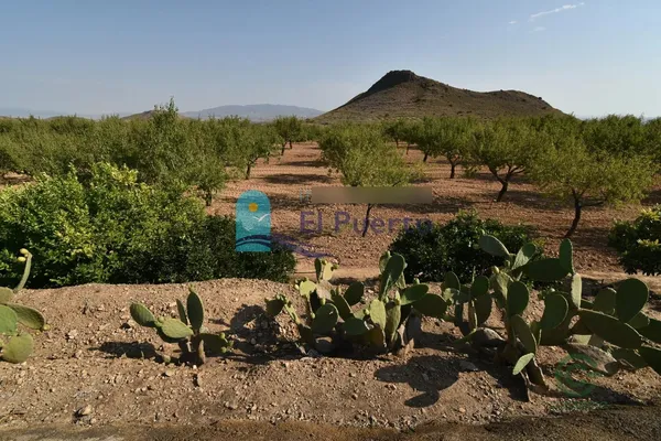 Finca rústica de 4 ha en venta en Mazarron, Murcia