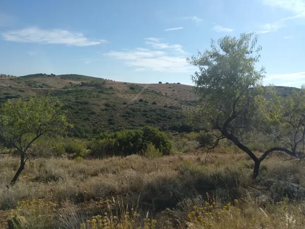 Finca rústica de 1950 ha en venta en Cuenca