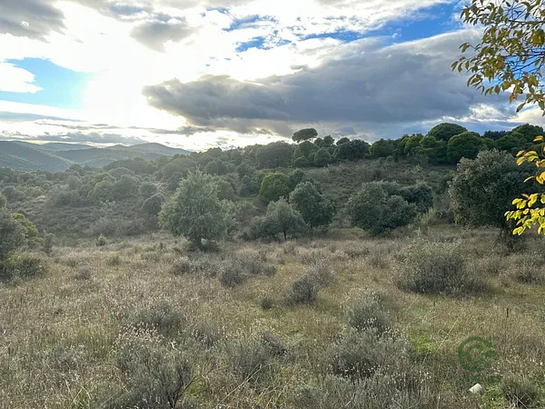Finca rústica de 40 ha en venta en Madrid