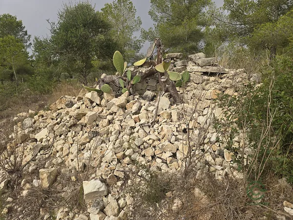 Terreno urbano de 1,4773 ha en venta en Montuiri, Islas baleares