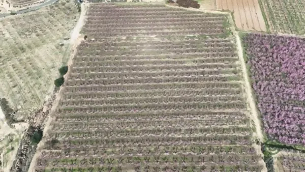 Finca agrícola de 2 ha per a venda a Lleida