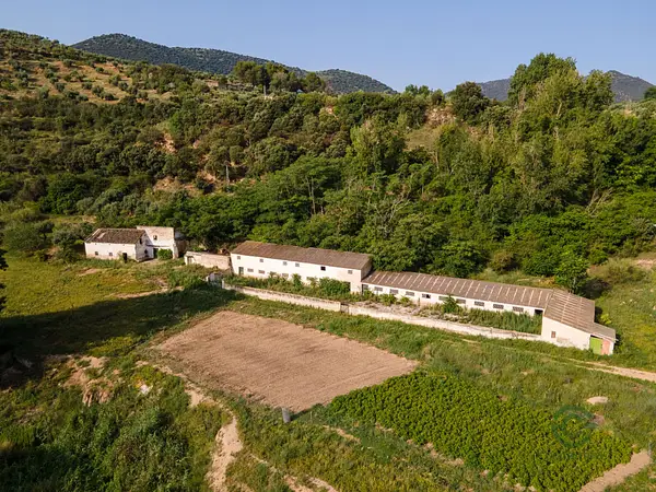 Finca rústica de 378 ha en venta en Jaén