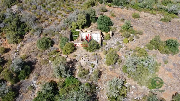 Finca de recreo de 1,2282 ha en venta en Silves, Faro