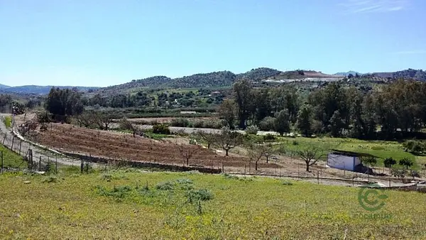 Finca rústica de 20,6 ha en venta en Málaga