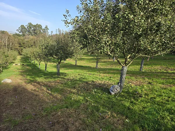 Finca agrícola de 1,1757 ha en venta en Siero, Asturias