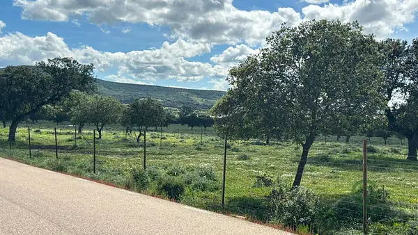 Finca rústica de 978 ha en venta en Badajoz