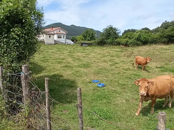 Terreno urbano de 0,5645 ha en venta en Castro-urdiales, Cantabria
