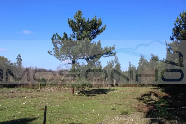 Finca rústica de 0,55 ha en venta en Marinha grande, Leiria