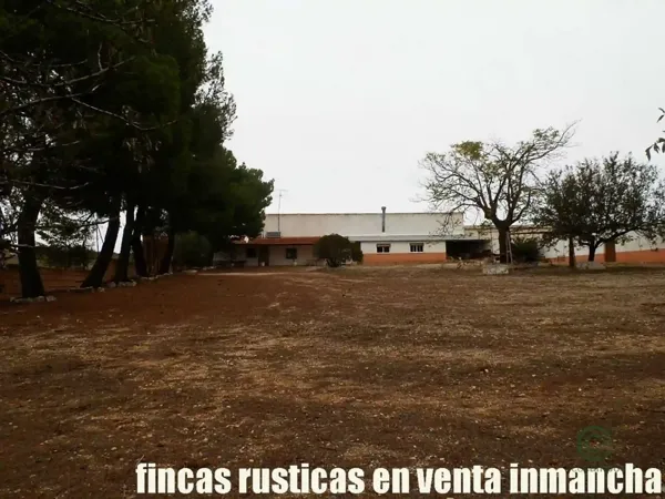 Finca rústica de 388 ha en venta en Albacete