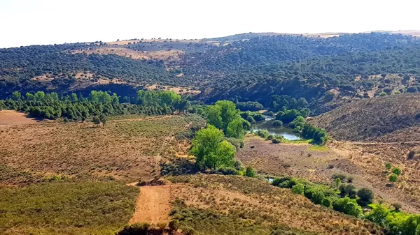 Finca rústica de 1000 ha en venta en Salamanca