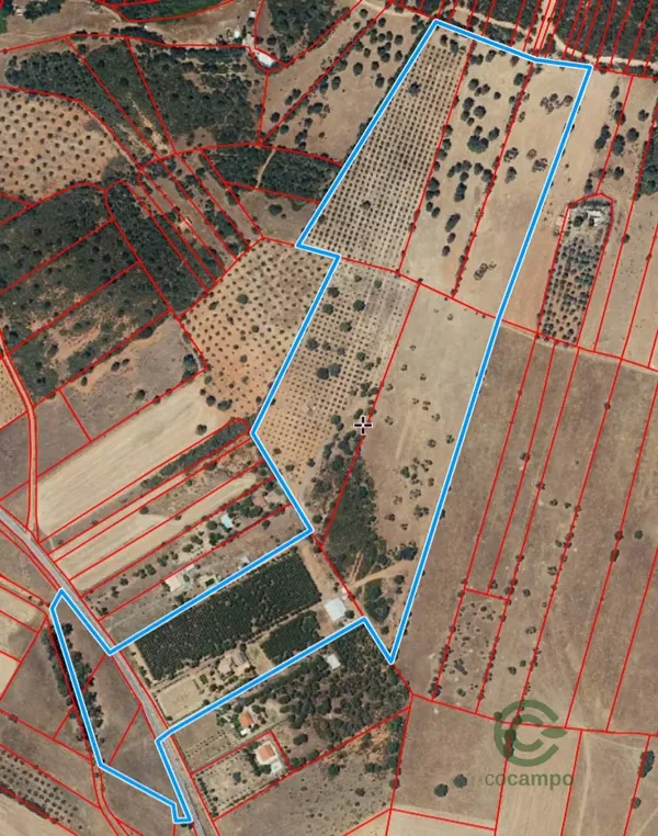 Finca rústica de 17 ha en venta en Ciudad real