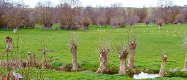 Finca rústica de 150 ha en venta en Segovia