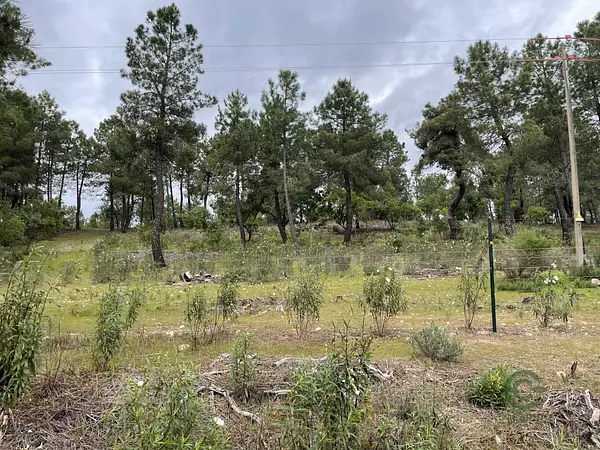 Finca rústica de 127 ha en venta en Ávila