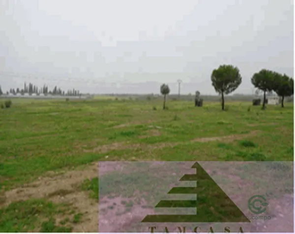 Terreno urbano de 3,54 ha en venta en Escalona, Toledo