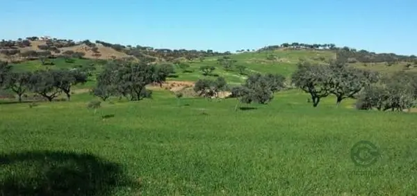 Finca rústica de 207 ha en venta en Huelva