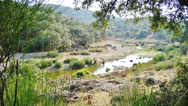 Finca rústica de 250 ha en venta en Sevilla