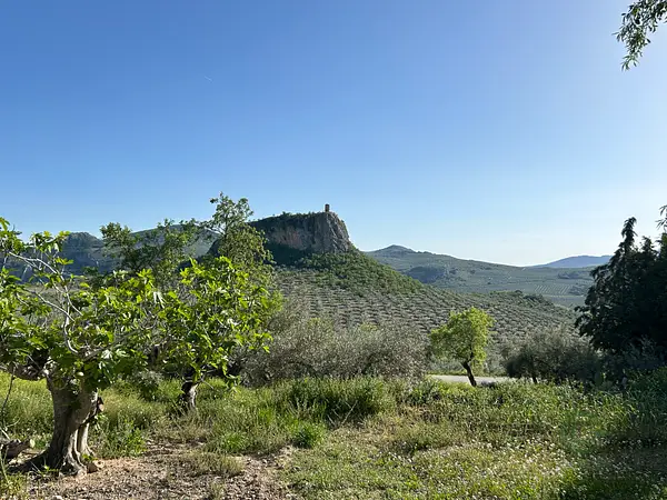 Rustic property of 117 ha for sale in Granada