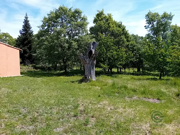 Finca rústica de 5 ha en venta en León