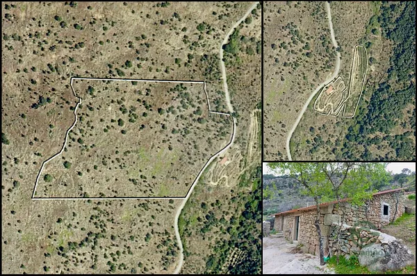 Fazenda rustica de 7,03 ha para venda em Guarda