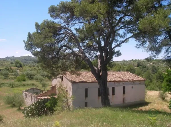 Finca rústica de 38 ha en venta en Alicante