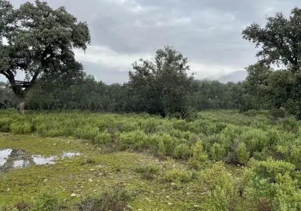 Finca rústica de 78 ha en venta en Toledo