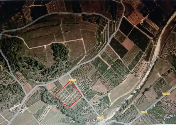 Finca agrícola de 1,23 ha en venta en Alicante