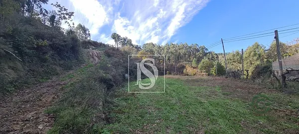 Finca rústica de 1,2 ha en venta en Amarante, Porto