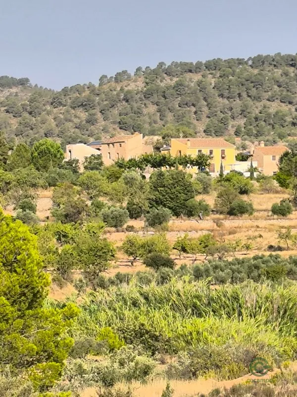 Finca rústica de 0,075 ha en venta en Pinoso, Alicante