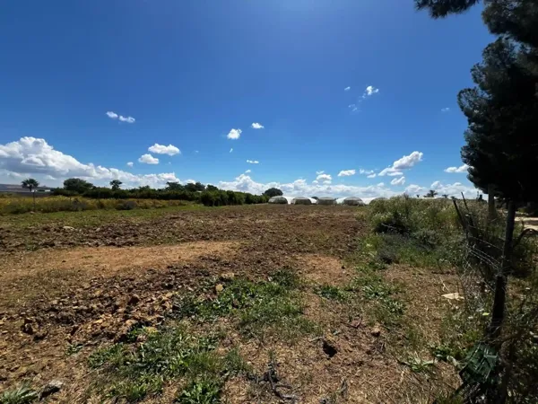Finca agrícola de 0,5 ha en venta en Sevilla