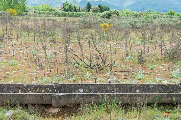 Finca agrícola de 3 ha en venta en León