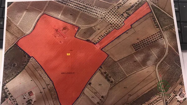 Finca agrícola de 6,5 ha en venta en Huelva