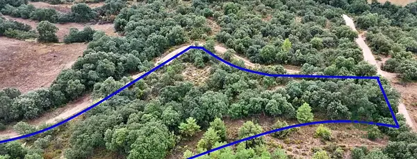 Finca rústica de 0,4 ha en venta en Huesca