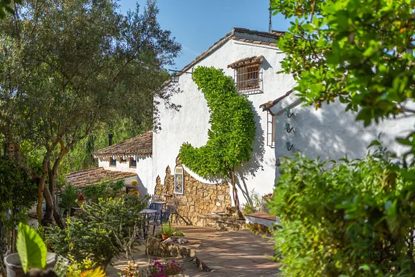 Finca rústica de 2,4878 ha en venta en Zahara de la sierra, Cadiz